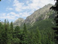 IMG_6313.jpg, 29kB